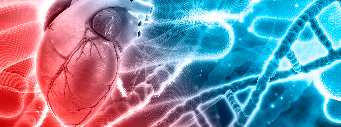 exámenes cardiacos, enfermedades cardiacas, cardiogenética exámenes clínicos para enfermedades cardiacas